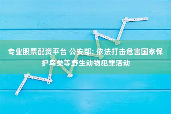 专业股票配资平台 公安部: 依法打击危害国家保护鸟类等野生动物犯罪活动