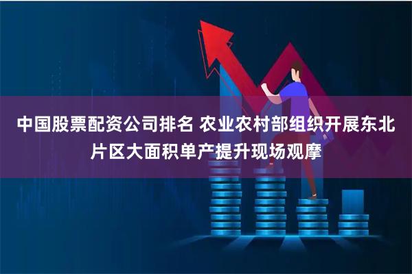 中国股票配资公司排名 农业农村部组织开展东北片区大面积单产提升现场观摩