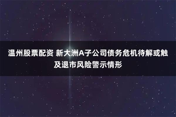 温州股票配资 新大洲A子公司债务危机待解或触及退市风险警示情形